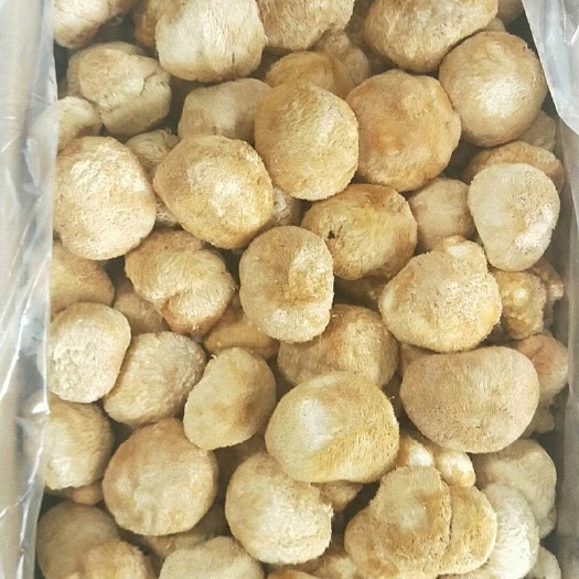 宁德 古田干货猴头菇 精选猴头菇 食用菌厂家直销散装500