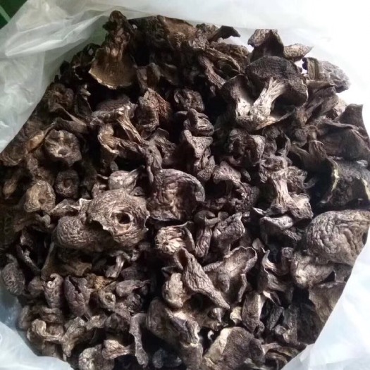 鹤庆县藏区虎掌菌