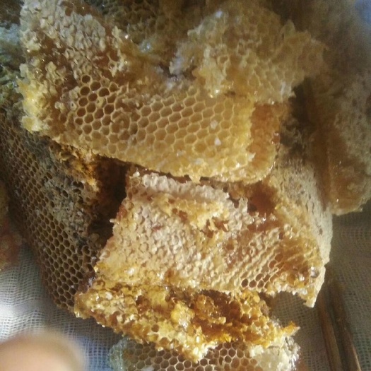 盐源县土蜂蜜 塑料瓶装 2年 98%