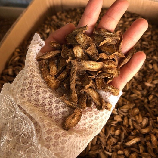 亳州 牛蒡茶