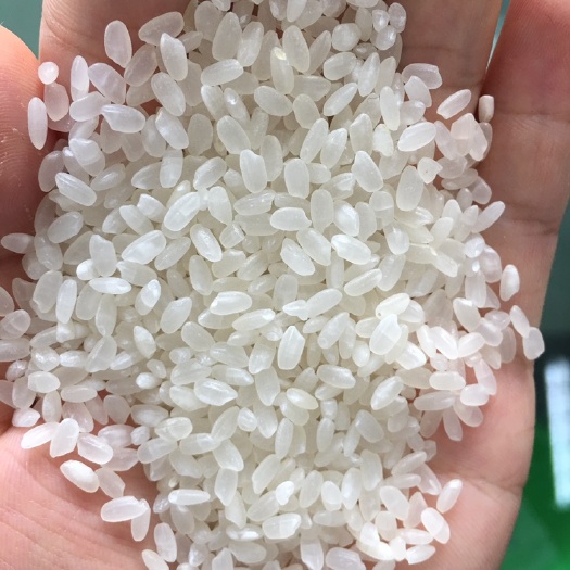 望江县圆粒大米 嘉花粳米