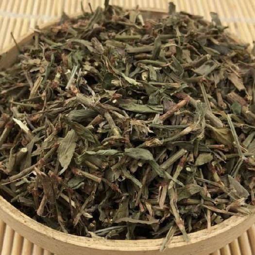 安国市萹蓄 正品扁蓄草，干净无杂，品质保证