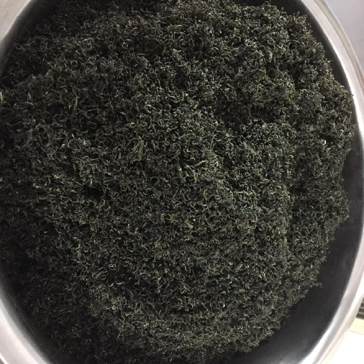 临沂 日照绿茶六月茶大量上市口粮茶日照市产地直供