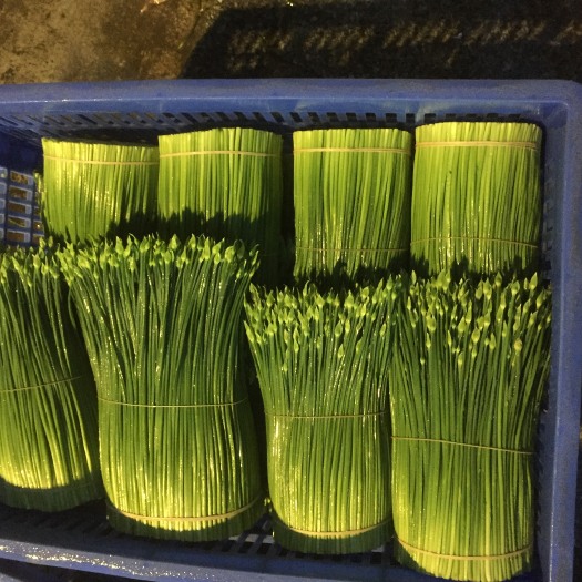 广州 超级漂亮韭菜花精品