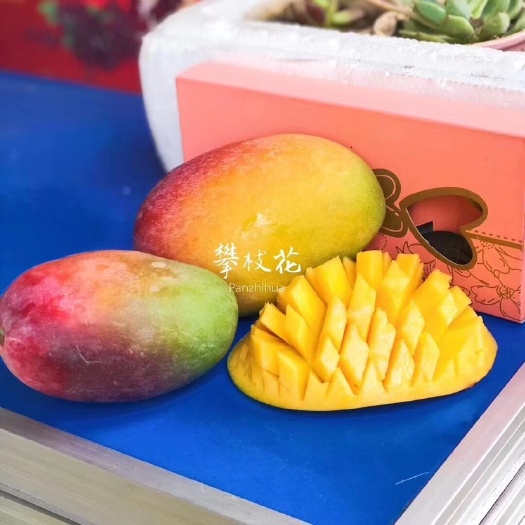 爱文芒果 产地一手货 可以代发 批发