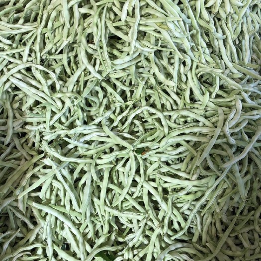 北镇市 白豆角