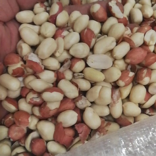 中牟县米，优质花生米，纯干货，榨油，