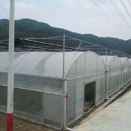 天津连栋棚 连栋温室大棚 花卉温室 育苗温室 种植温室 大棚骨架