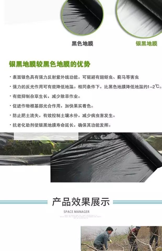银灰地膜 银黑地膜 反光 塑料 薄膜蔬菜草莓辣椒保温保湿除草