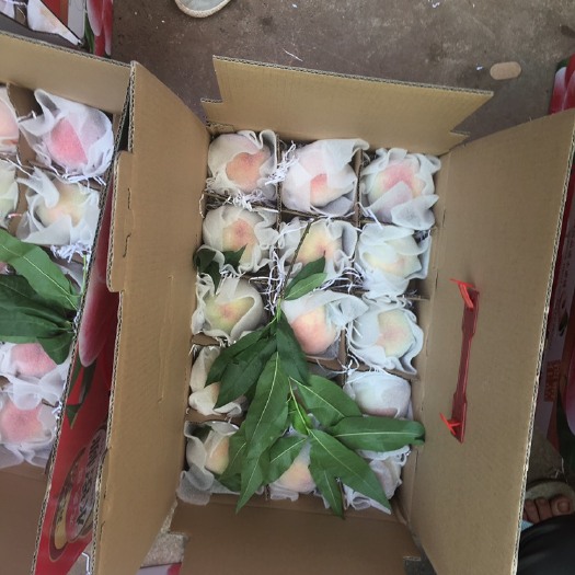 简阳市 龙泉驿区水蜜桃，净果五斤装，60一盒，支持一件代发。