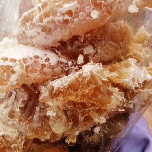 盐源县土蜂