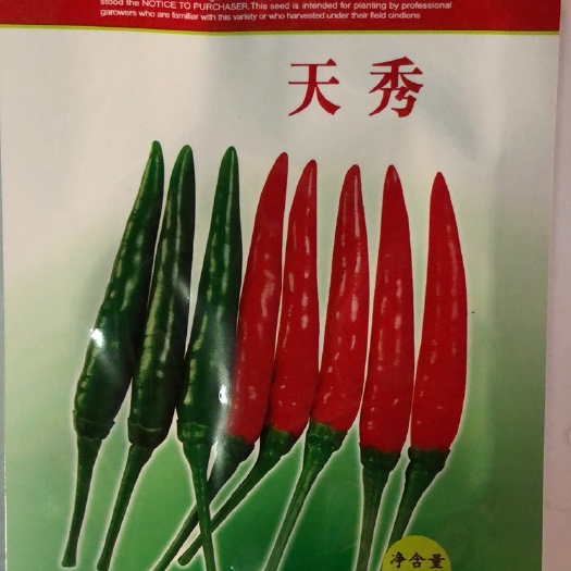 平远县杂交一代天秀指天椒  朝天椒种子