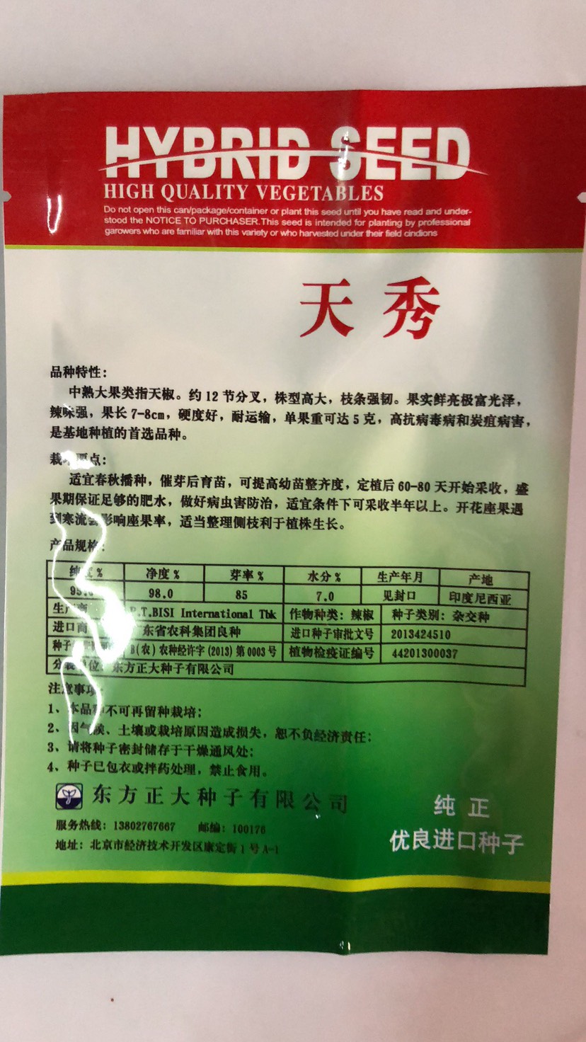 杂交一代天秀指天椒  朝天椒种子
