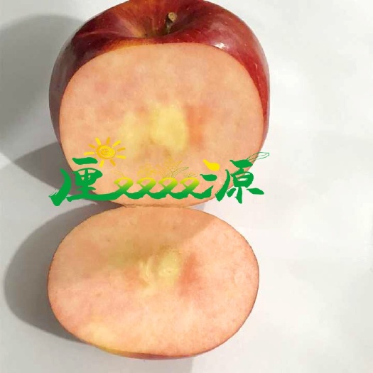 沭阳县红宝石甜苹果树苗 红肉苹果脱毒苗