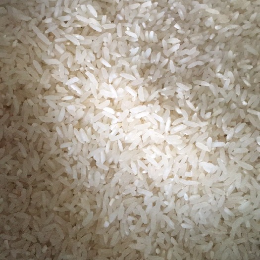 岑溪市油粘米 一等品 晚稻 粳米