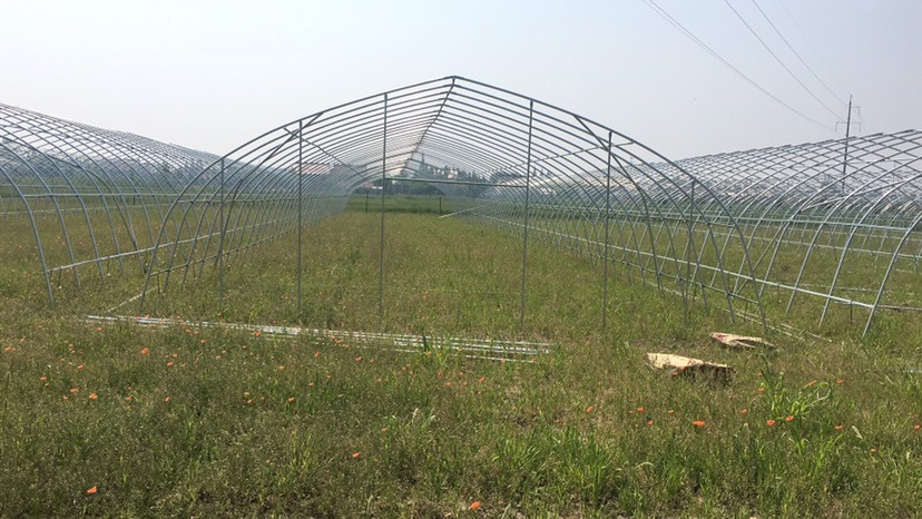 无锡大棚杆 简易蔬菜大棚量大从优