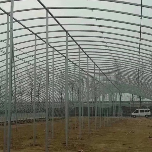 天津 椭圆管大棚，钢管大棚，火龙果大棚，抗风雪