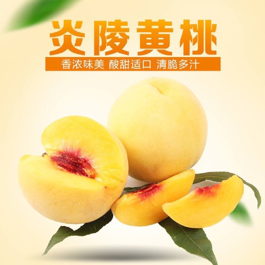 炎陵县 供销社大量供应优质炎陵黄桃有意私聊