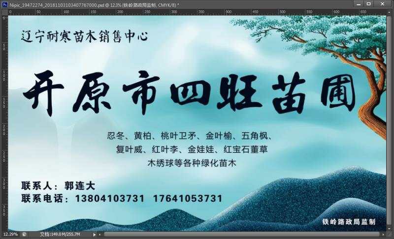 梧桐树种子  东北辽宁供应梓树梧桐树价格合理规格齐全量大优惠可详谈