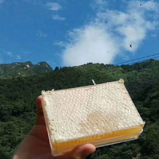 锦州 19年新优质洋槐蜂巢蜜 基地直邮 量大从优