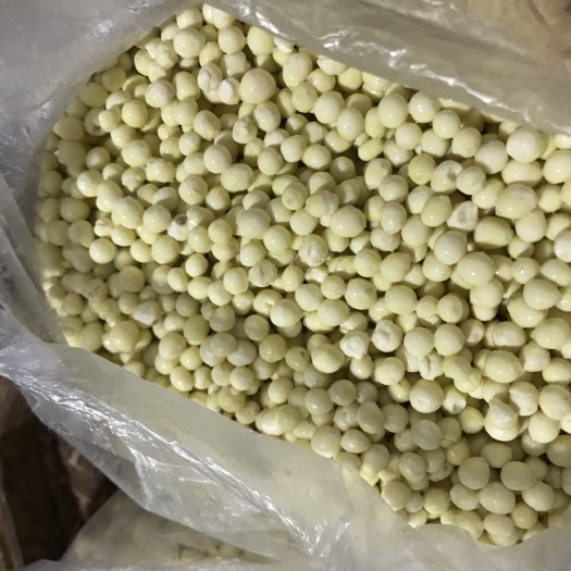 潮州新鲜芡实刚刚剥出