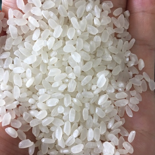 望江县 珍珠米 粳米