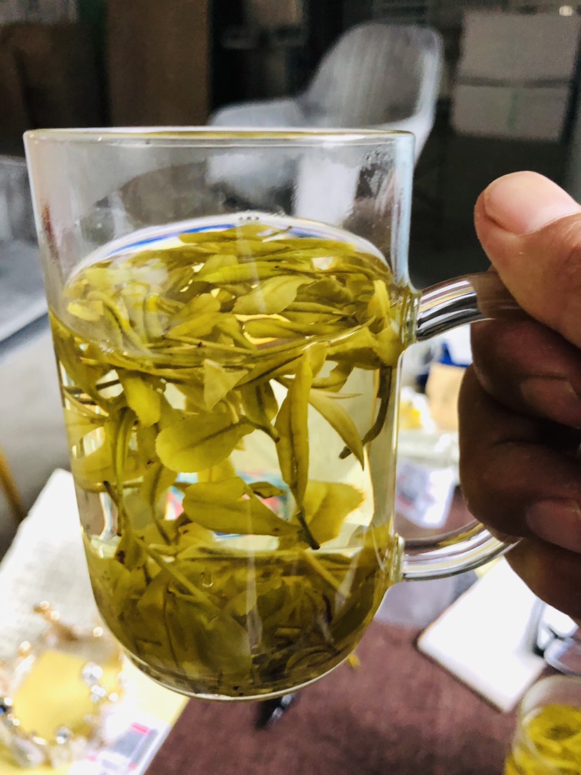 安吉黄金叶茶 安吉黄金芽