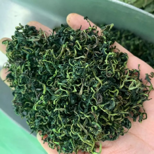 蒲公英茶 新货颜色青条形好大货供应、送宣传广告、