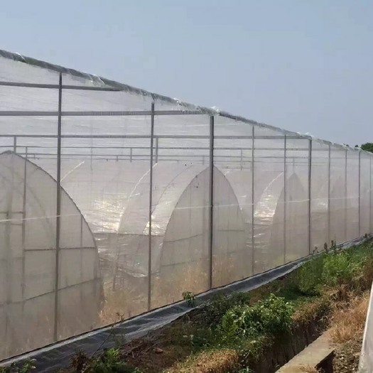 无锡大棚杆 连体蔬菜水果大棚
