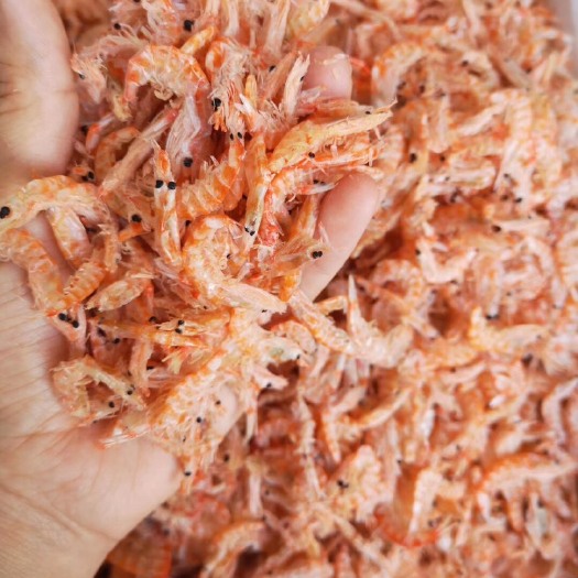 滨州磷虾干  鳞虾，南极鳞虾