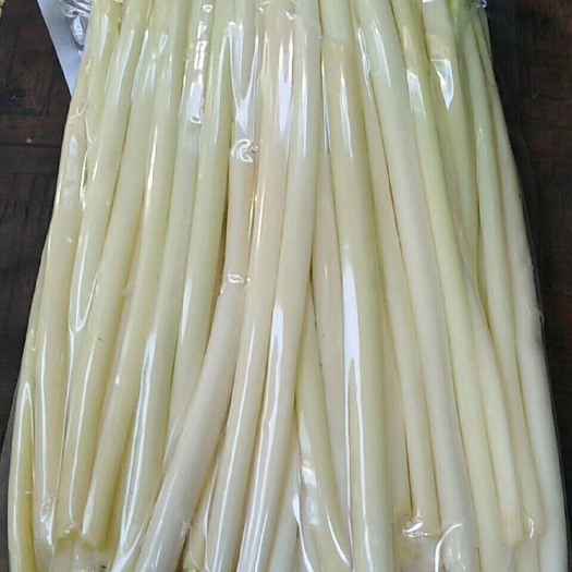 微山县 纯野生蒲菜。营养丰富 老少皆宜 需要的联系 批发零售 海量供