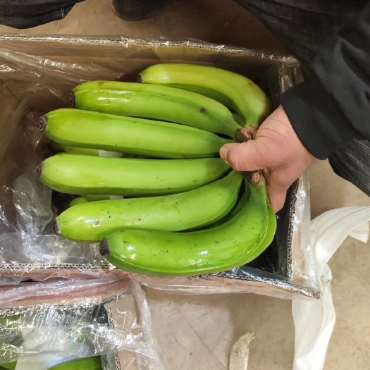 邯郸 精品云南香蕉广西香蕉