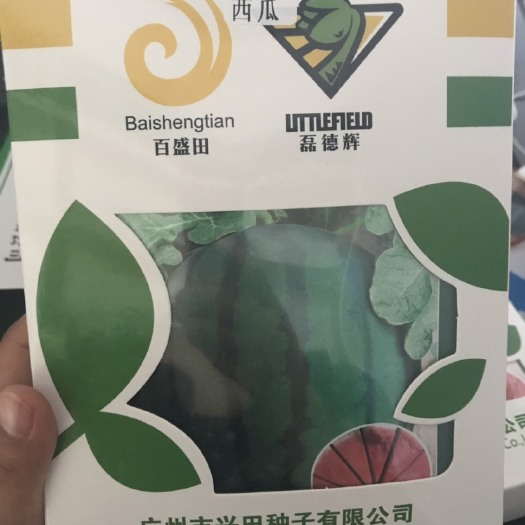 昌乐县 华岳无籽西瓜种子