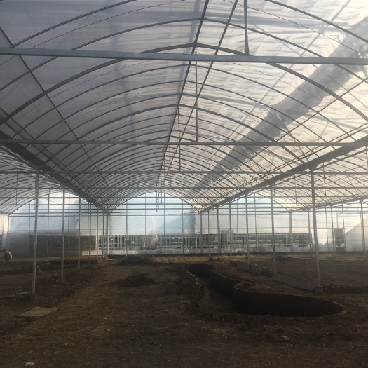 无锡大棚管 大棚杆 连栋温室种植大棚