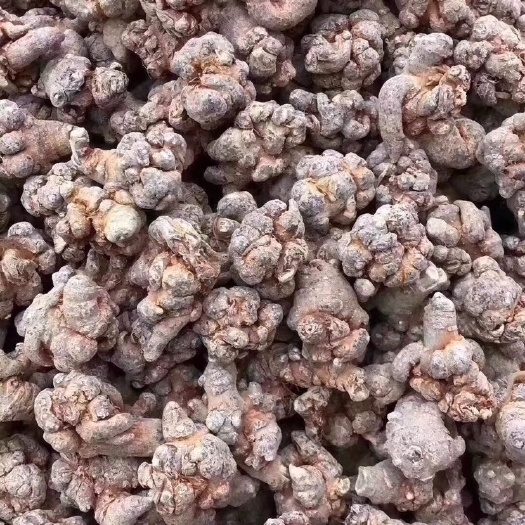 昆明 三七粉，20头，30头，三七粉，文山三七，