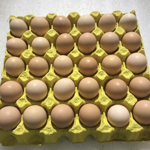 武汉土鸡蛋全程无抗养殖，绿色，健康，营养，新鲜