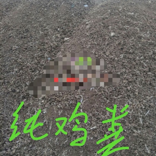 深州市鸡粪