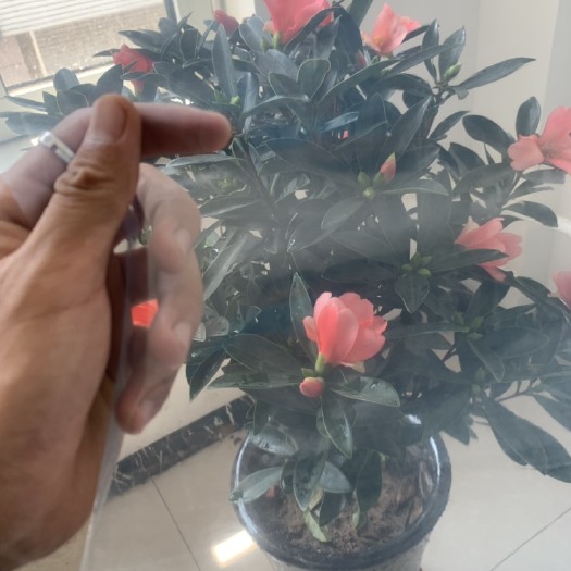 玉田县PO薄膜 塑料大棚po膜 大棚蔬菜膜