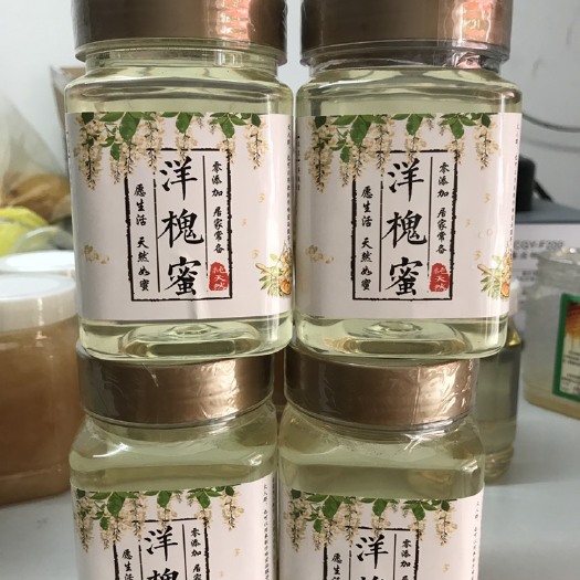 凤阳县洋槐蜂蜜 塑料瓶装 2年以上   洋槐蜜 纯正天然槐花蜜 百花蜜土蜂蜜