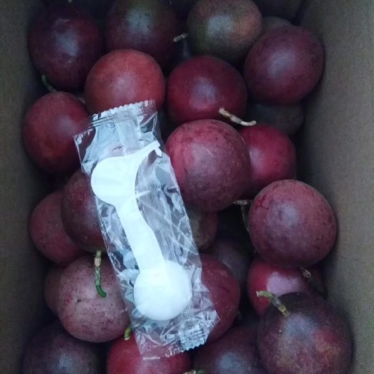 来宾 优惠包邮百香果