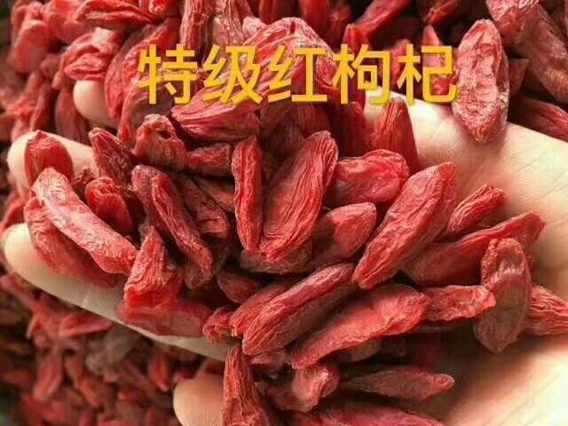 东阳市沙漠红枸杞 新疆产地，朋友农场直供，品质保证