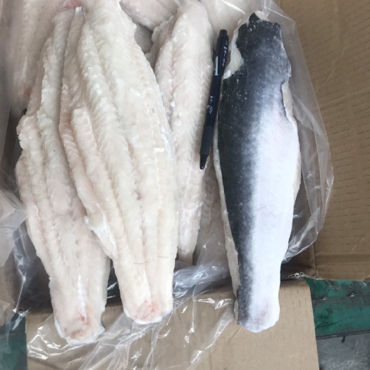 济南巴沙鱼  做鱼柳我们专业的，常年供应，保质保量