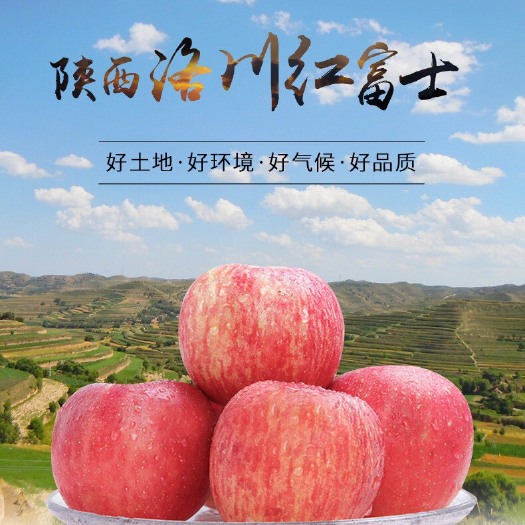 西安 陕西洛川苹果 精品礼盒装5斤