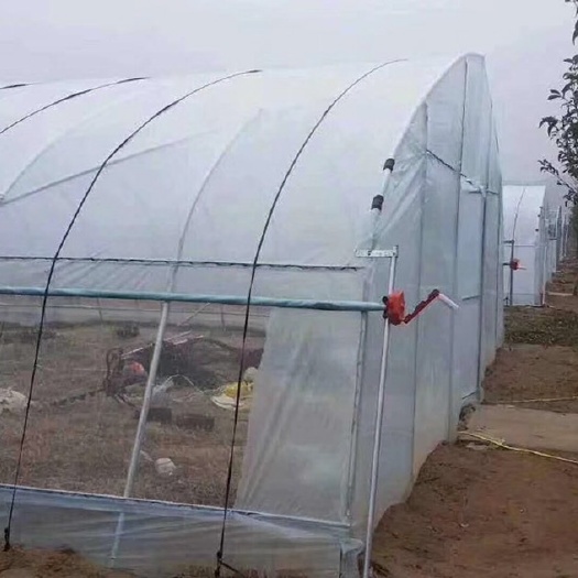 沭阳县种植大棚