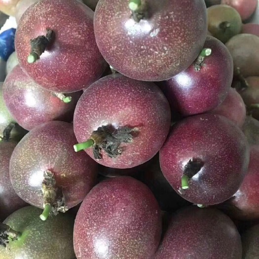  越南百香果，紫香 中大果80-100克