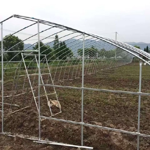 无锡果蔬大棚管