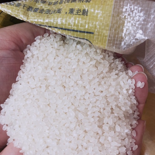 天津 特级东北大米