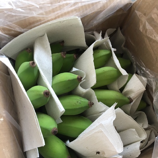 东方市 海南粉蕉小米蕉可一件代发