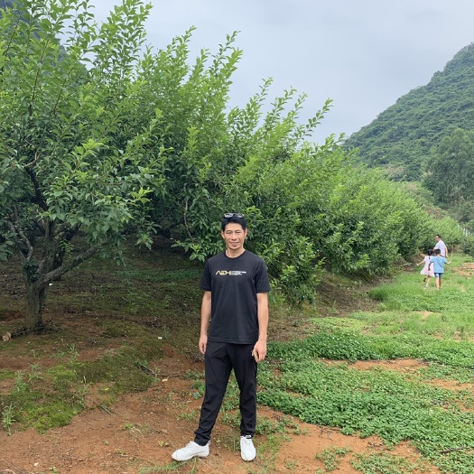 永州五月脆李 自家水果永州奈李，富含维生素C，不催熟，不打蜡，脆甜