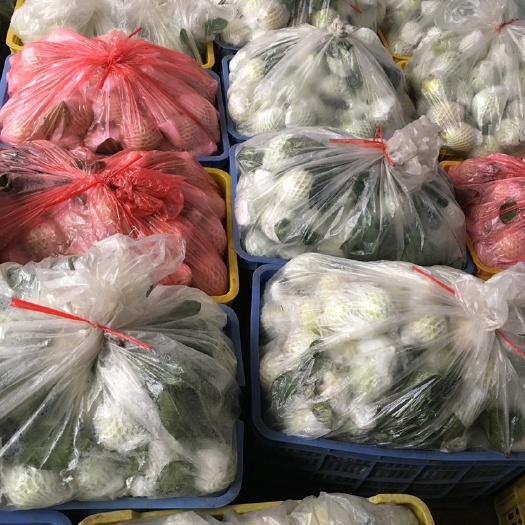 阳春市 一手货源西瓜红番石榴红心番石榴红心芭乐